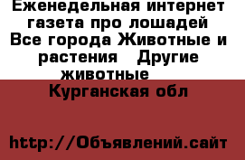 Еженедельная интернет - газета про лошадей - Все города Животные и растения » Другие животные   . Курганская обл.